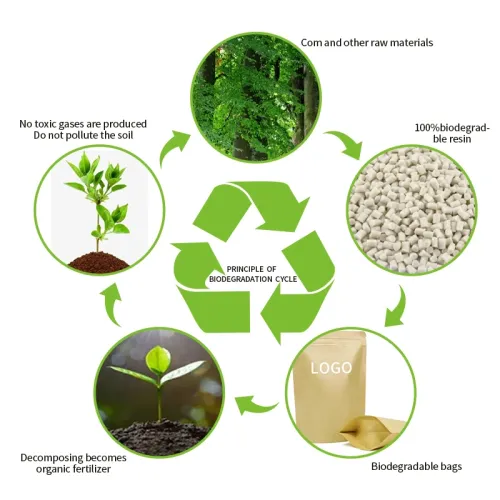 Compostable Roll Stock Film - Flow Wrap Packaging