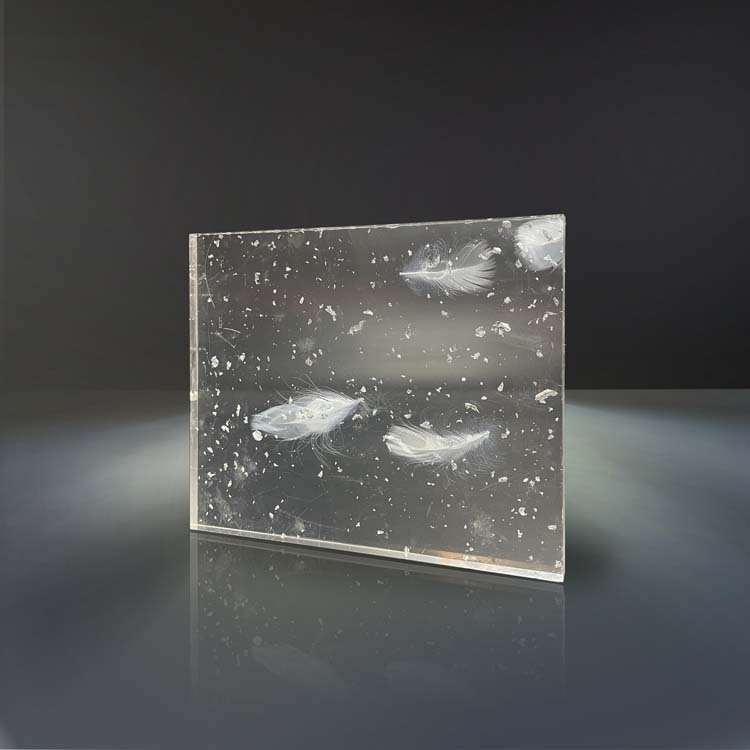 Acrylic sheet embedded EA016