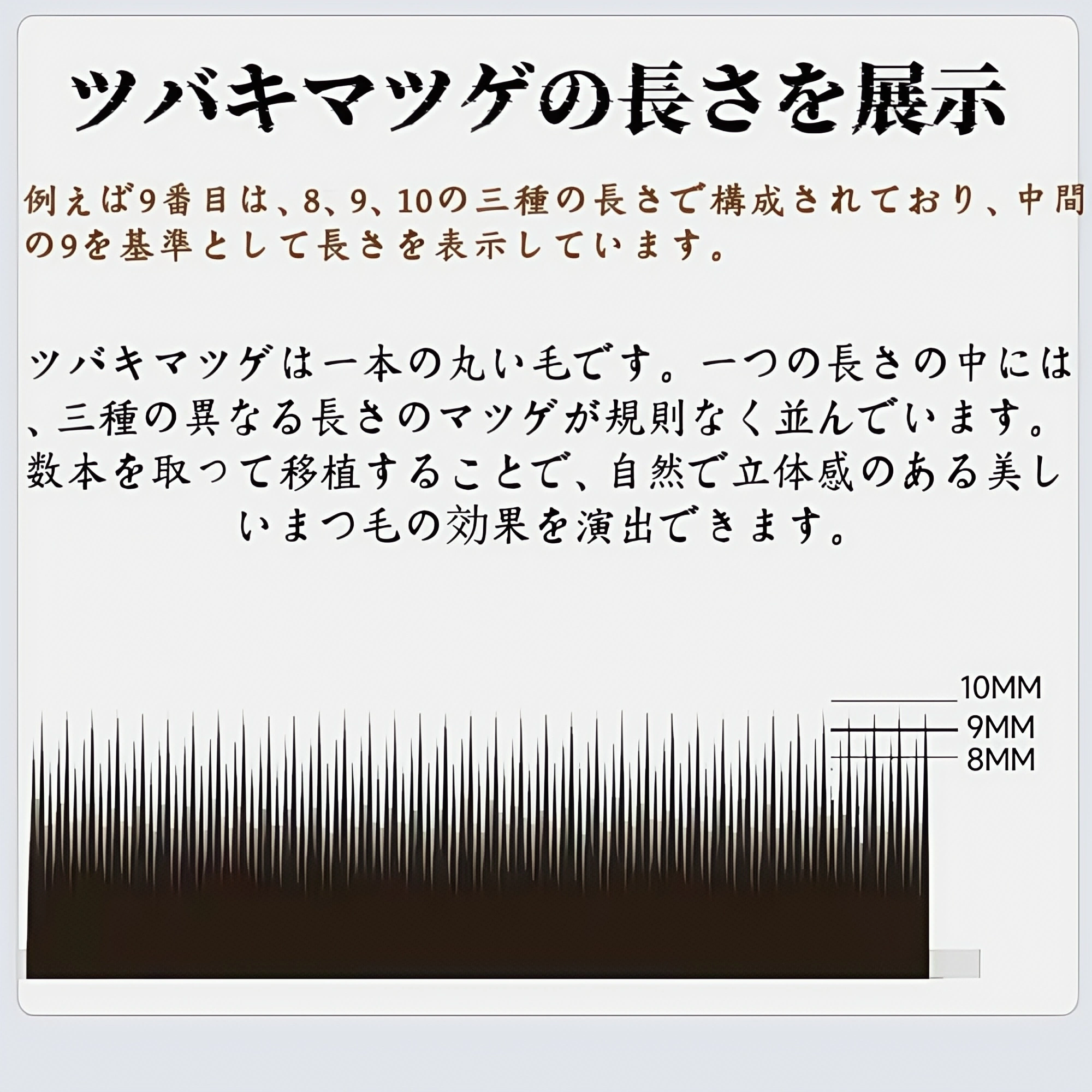 コミックスタイル椿まつげ移植｜和風開花デザイン｜新しい単一根複数取る根まつげ｜緩まないベルベット特別仕様
