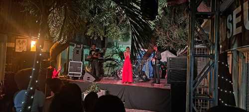 ZSOUND LA210 and S28 Sound System at Axum Fest, Saint-Martin