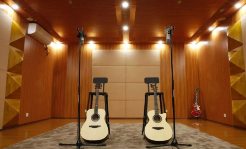 Harmonizing Spaces: Elevating Soundscapes with Guangzhou MiYin Technology