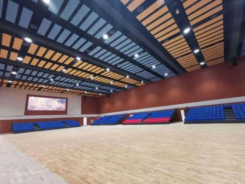 Unlock Exceptional Acoustic Quality at Guangzhou Zengcheng Economic Development Zone Sports Arena