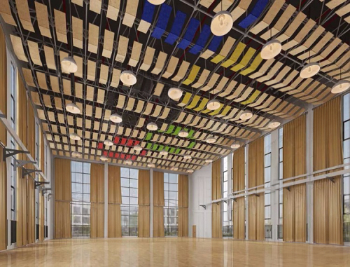 Acoustic Marvel: Transforming Hefei Ping School Gymnasium into a Versatile Sonic Oasis!