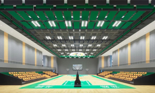 Unleash the Acoustic Excellence at Jiangsu's Newest Sports Arena - Longteng Gymnasium!