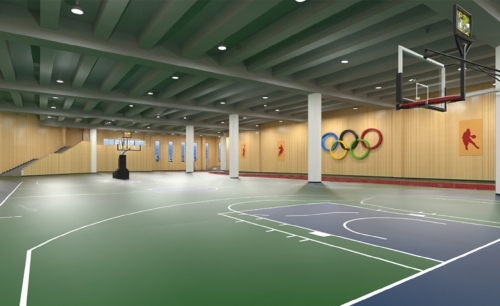 Harmonizing Athletics - A Sonic Triumph at Changsha University of Finance and Economics Gymnasium