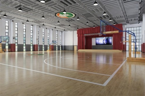 Transforming Acoustic Environments: Providing Comprehensive Solutions for Indoor Sports Facilities