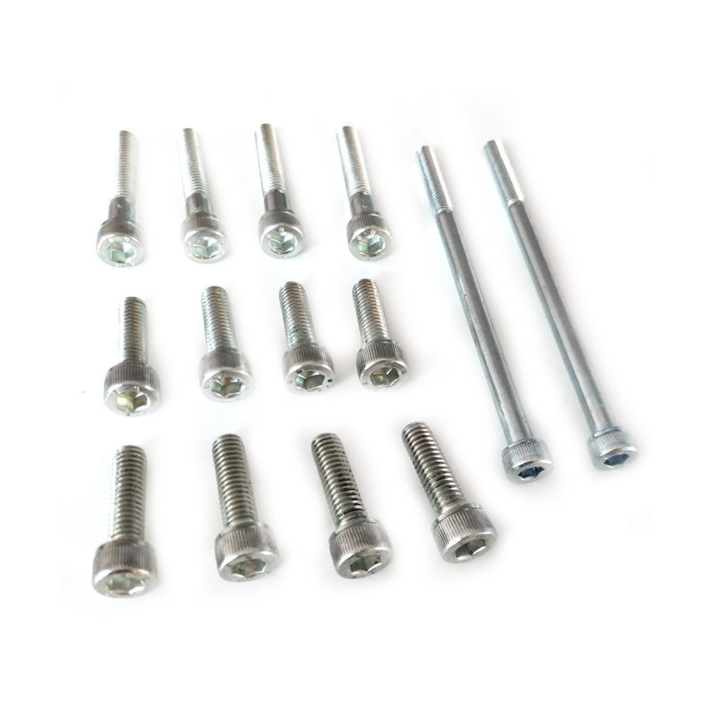 Whole Screws set  for DLE170