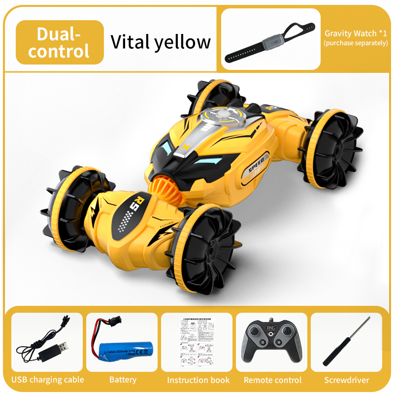 RC Car Land & Water Torsion Vehicle Electric Simulation Car Model Toys