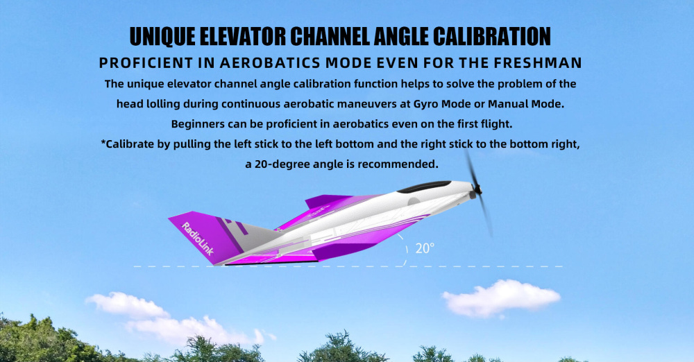D460 Fixed-Wing RC Model Aircraft for Training