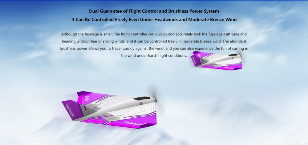 D460 Fixed-Wing RC Model Aircraft for Training