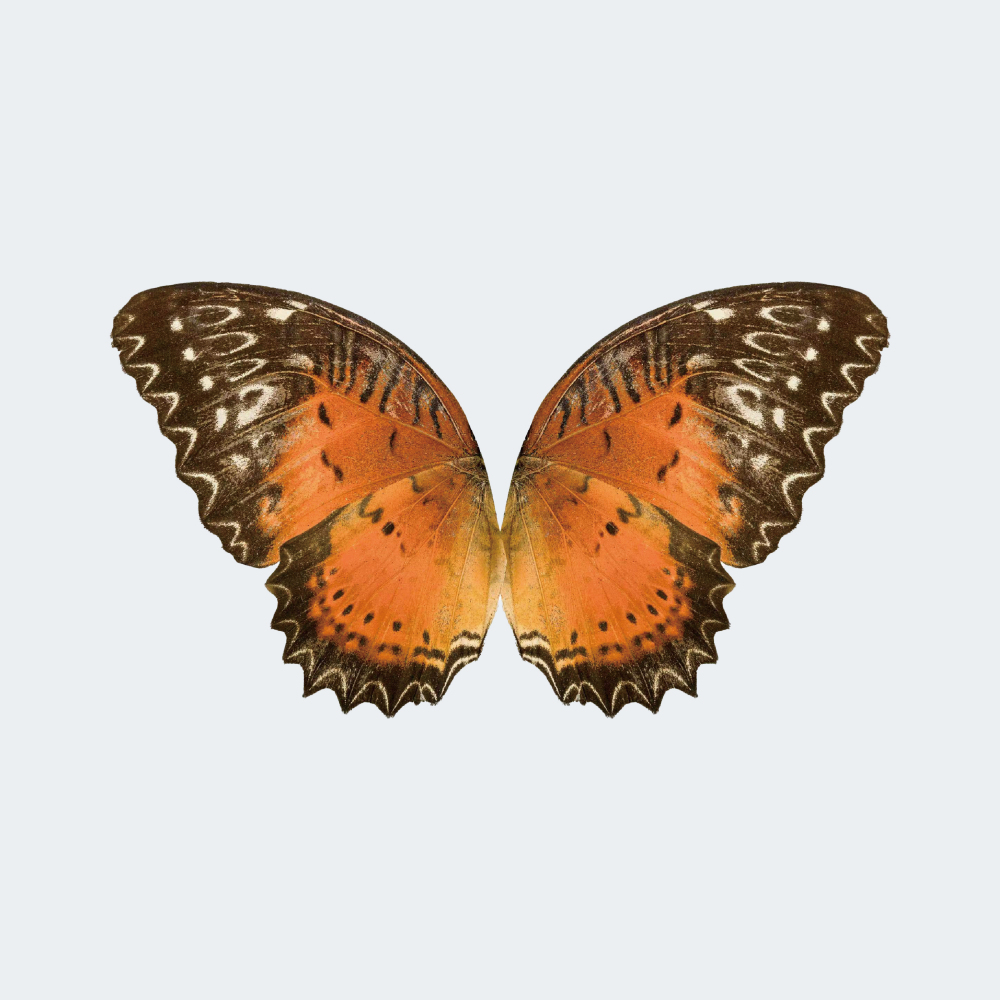 RC Bionic Flapping-Wing Butterfly 78 × 48 cm for Festive Gifts or Wedding Decorations