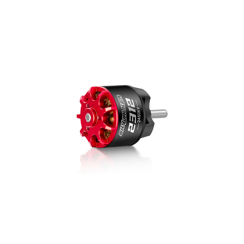 Hobbywing Skywalker 2312 Brushless Motor, 1250KV for Fixed Wing Racing RC Plane