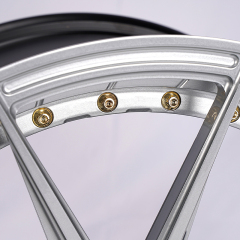 LSGZL 2-piece high strength forged wheel rims