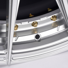 LSGZL 2-piece high strength forged wheel rims