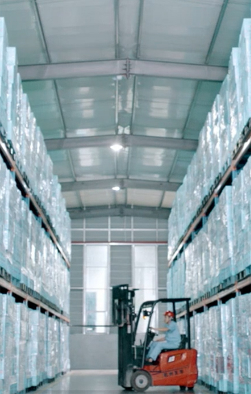Company Video