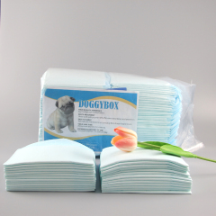 Disposable Sanitary Potty Changing Regular Puppy Pet Training Pee Pads For Dogs 60 X 60cm