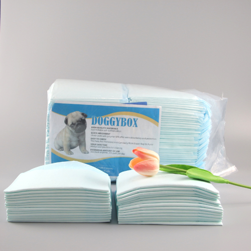 Disposable Sanitary Potty Changing Regular Puppy Pet Training Pee Pads For Dogs 60 X 60cm
