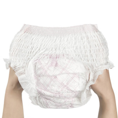Lady Menstrual Period Pants Leakproof Sanitary Napkins Pad Disposable Menstrual Pants