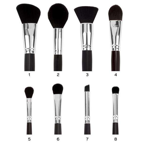 Coastal Scents Primrose Brush Collection( BR-SET-043)