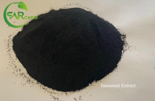 Seaweed Extract