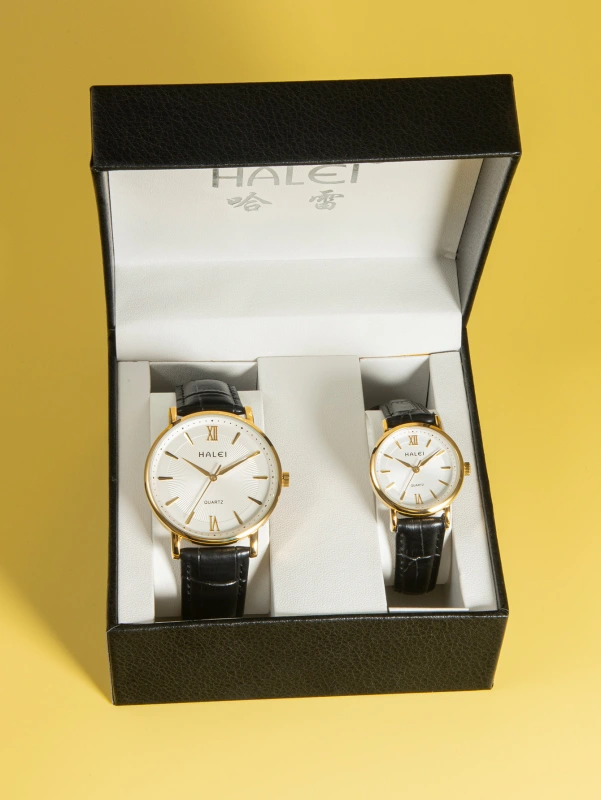 HALEI 546ML Leather quartz watch for couple