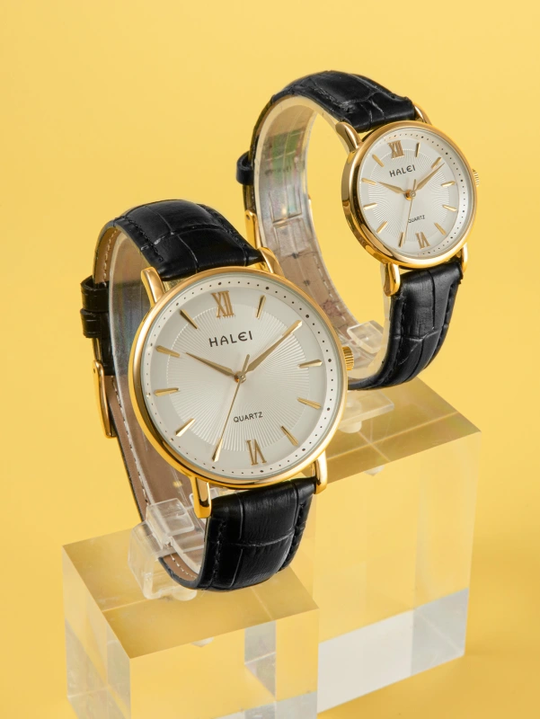 HALEI 546ML Leather quartz watch for couple