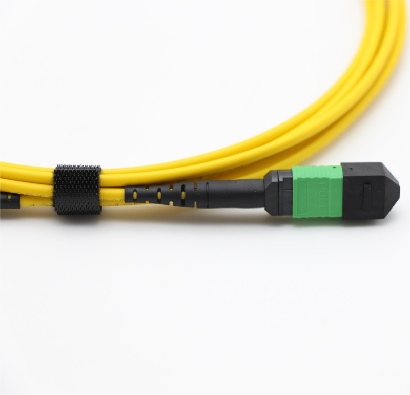 MPO-MTP Patch cord