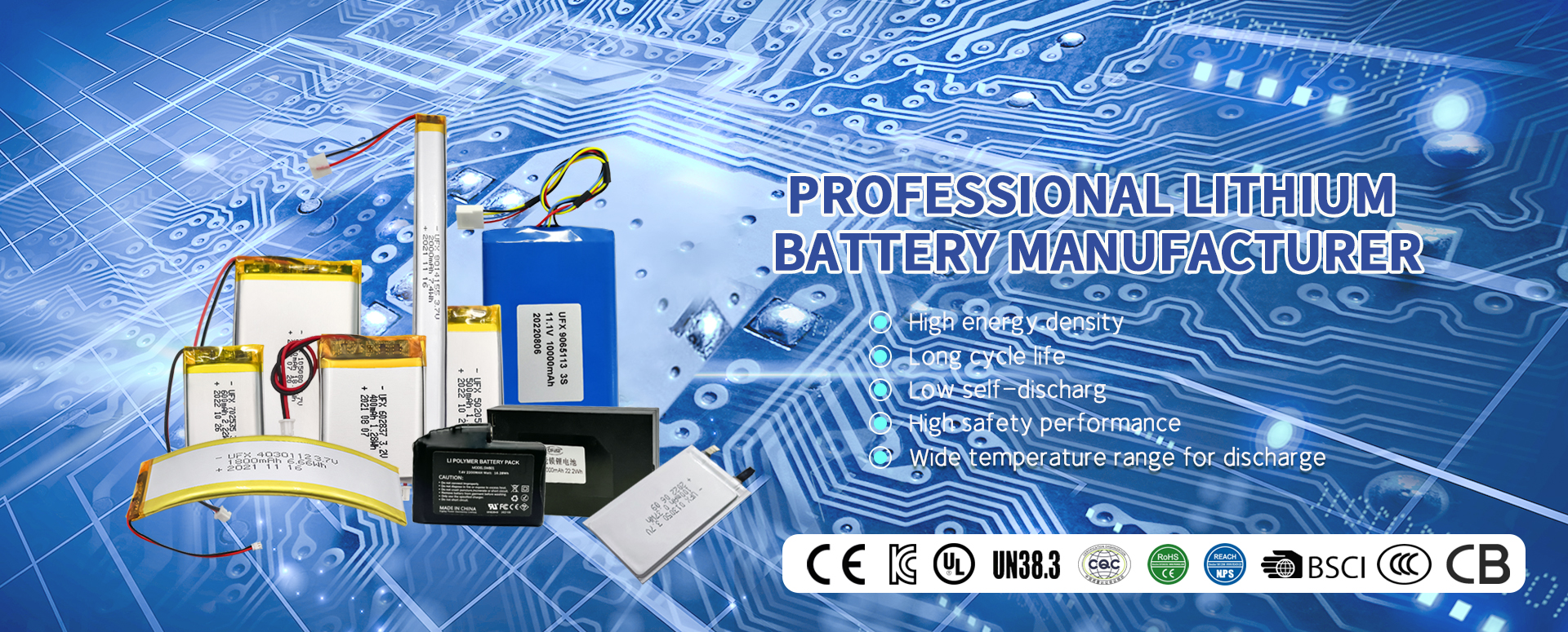professional lithium battery manufacture
