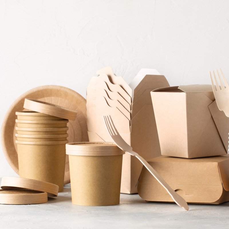 Lunch paper box & food container