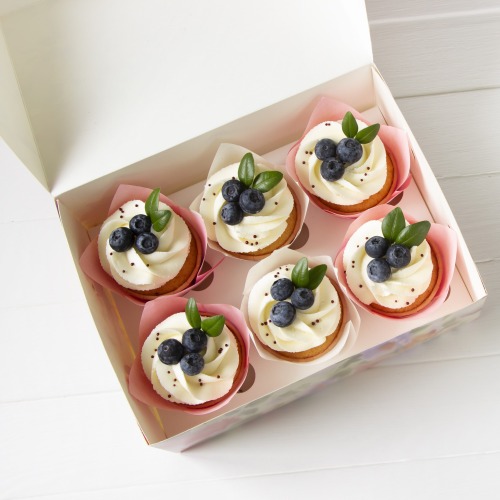 Bakery paper box &amp; Cookie muffin paper box