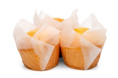 Tulip baking cup & muffin baking cup