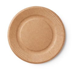 Disposable Party paper plate