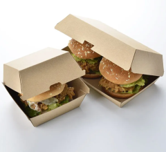 Burger clamshell food containers
