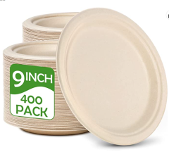 Disposable Party paper plate