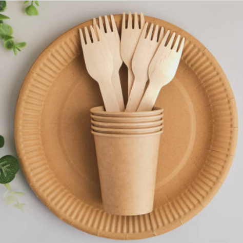 Disposable Party paper plate