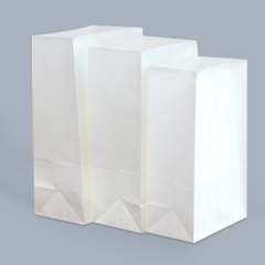 Take out paper bag
