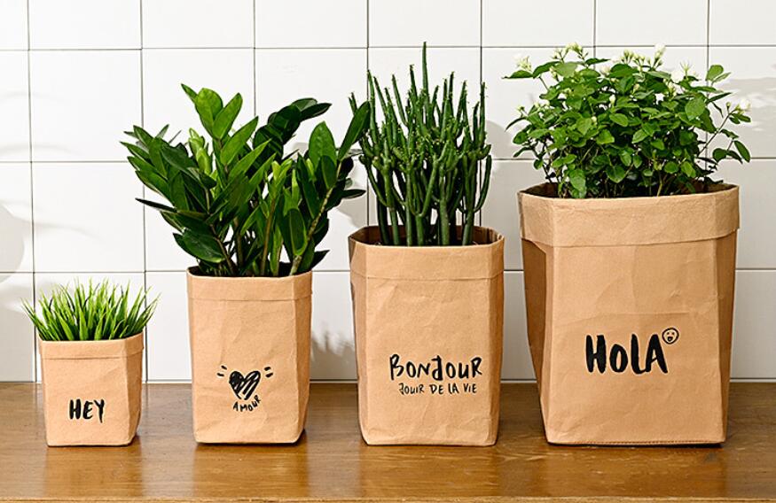 Why Paper Lunch Boxes are the Perfect Eco-Friendly Option