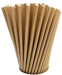 Biodegradable paper straw