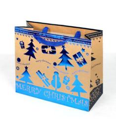 Holiday Paper gift bag