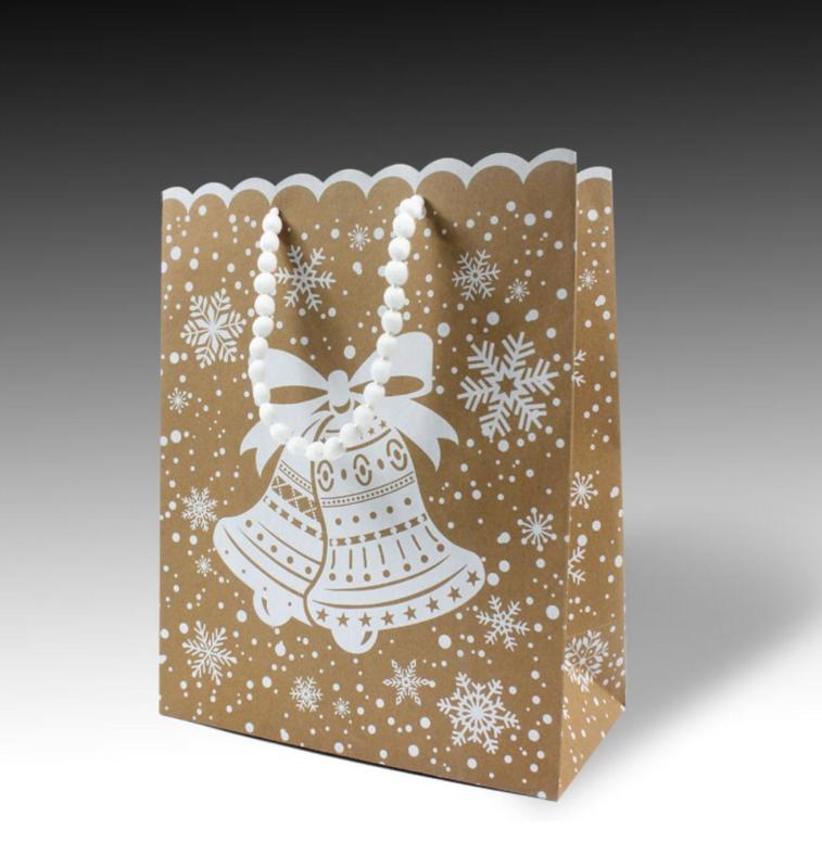 Christmas Paper gift bag