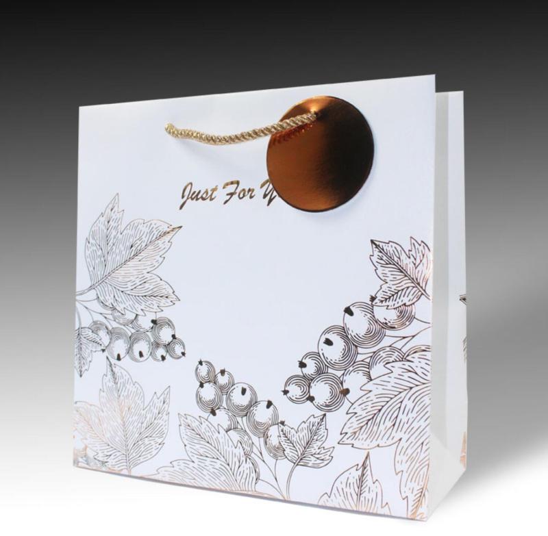 Promotion gift bag