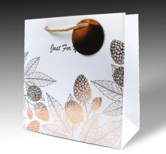 Promotion gift bag