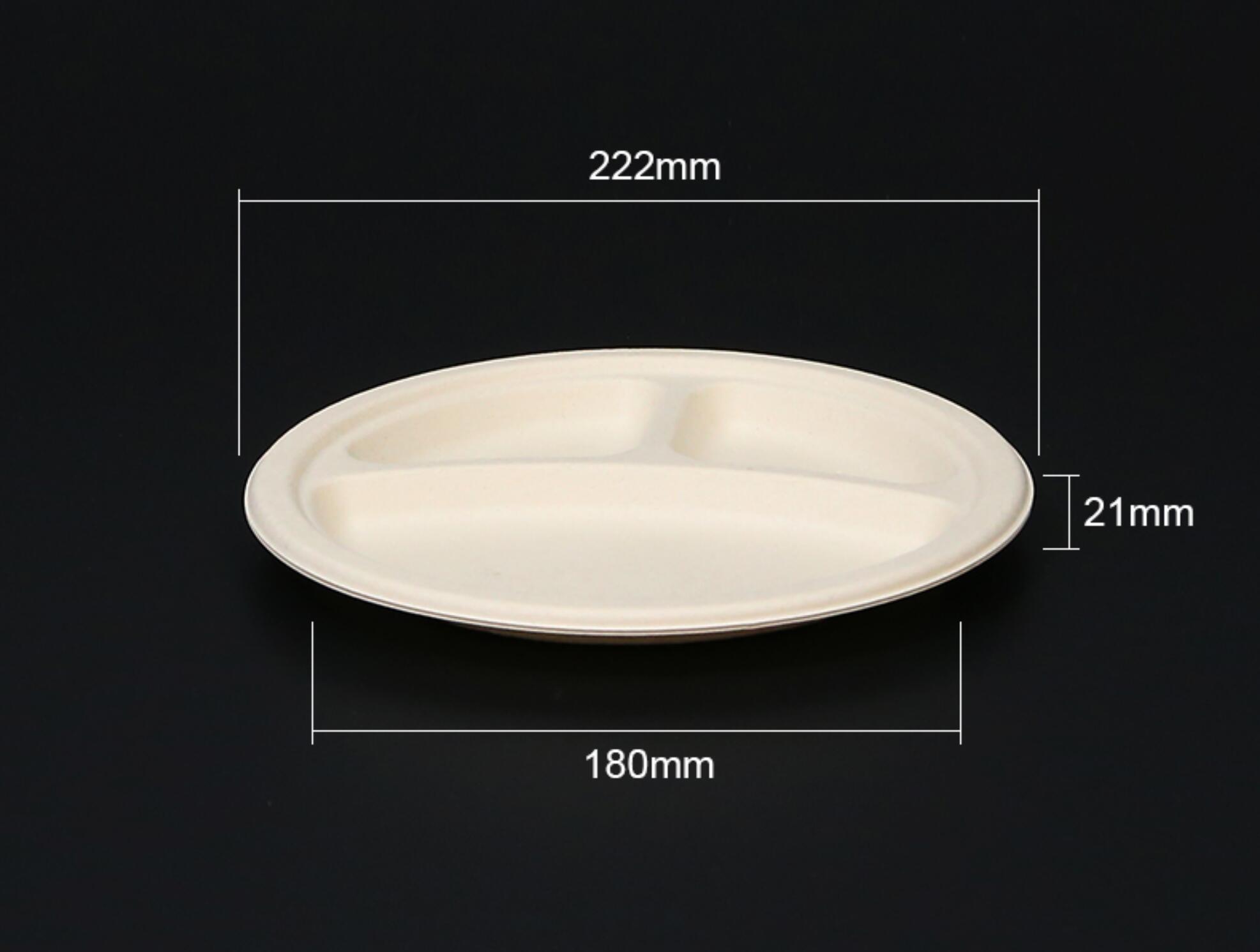 Biodegradable bagasse plate