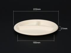 Biodegradable bagasse plate