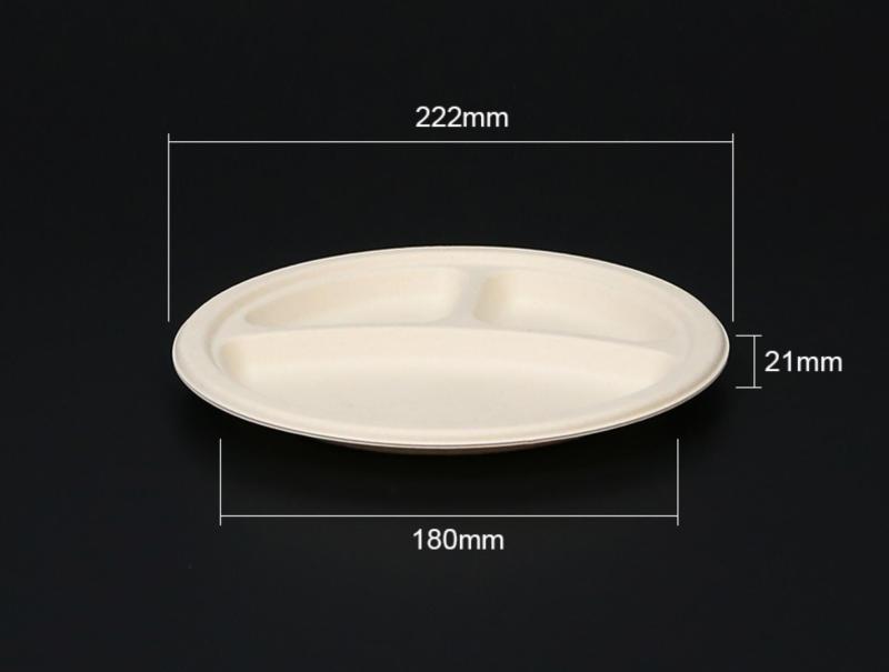 Biodegradable bagasse plate