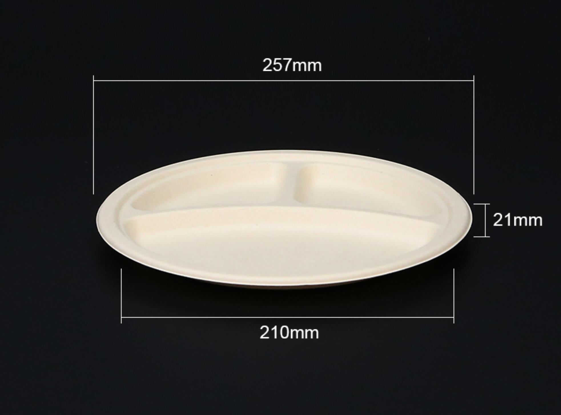 Biodegradable bagasse plate