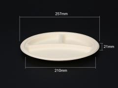 Biodegradable bagasse plate