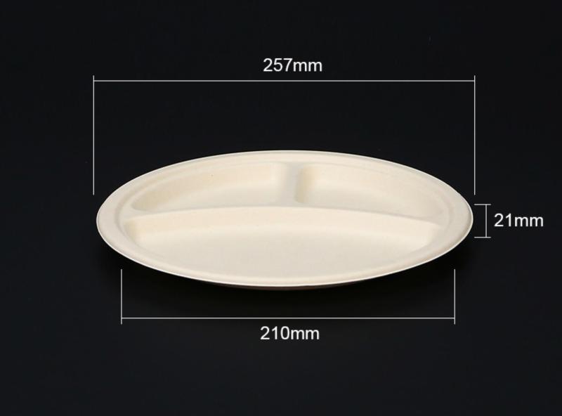 Biodegradable bagasse plate