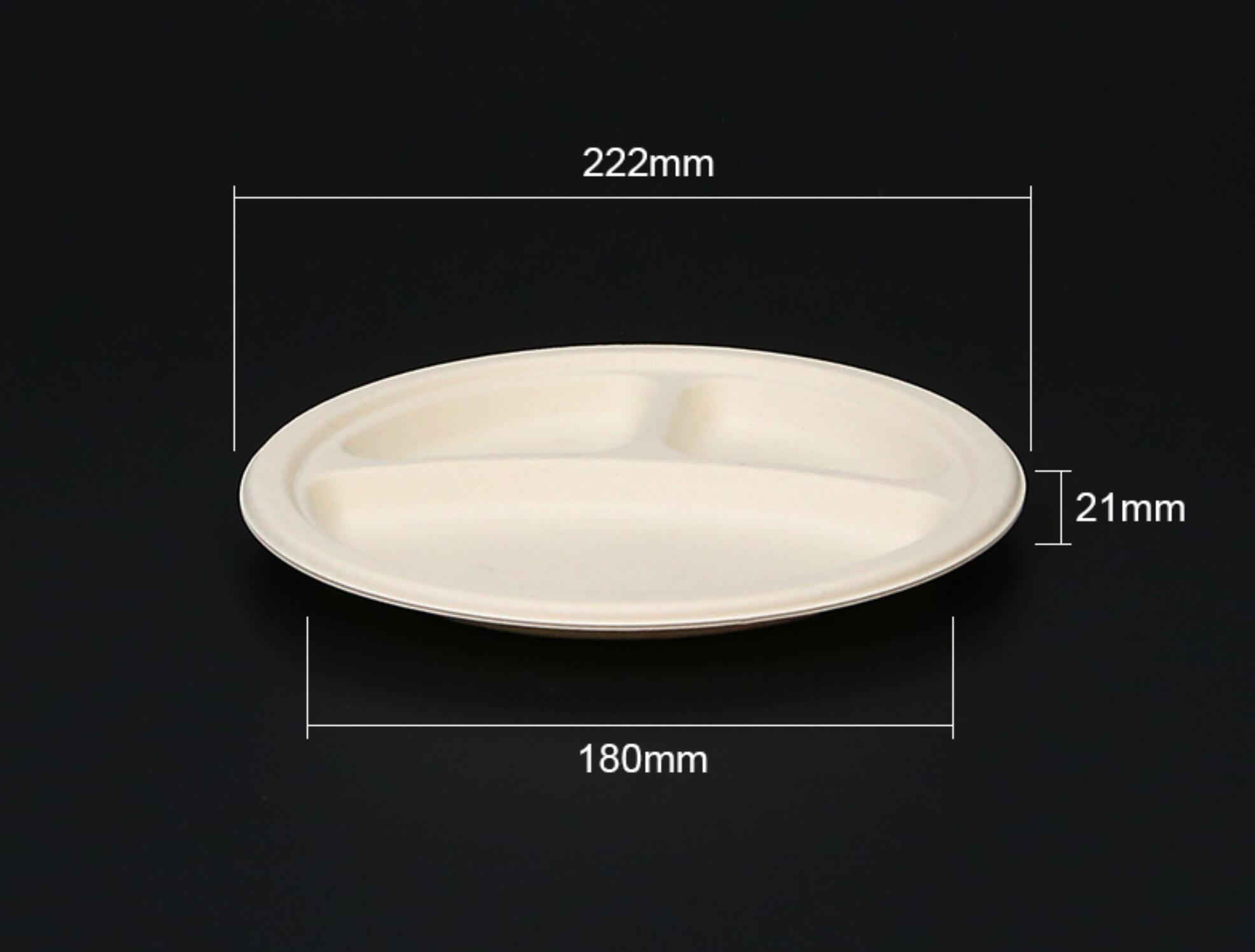 Biodegradable bagasse plate
