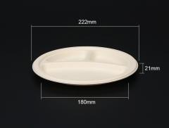 Biodegradable bagasse plate